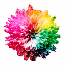 Colour